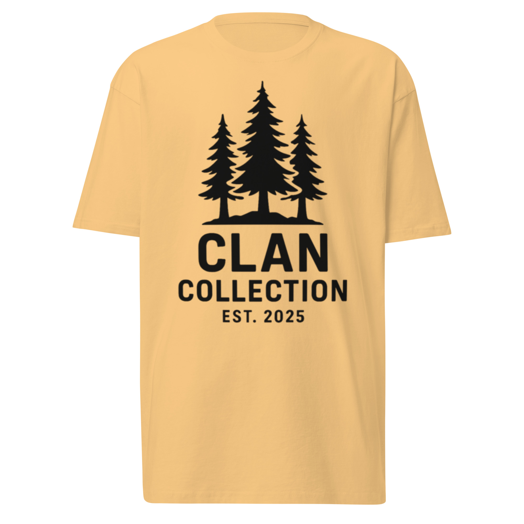 Men’s premium heavyweight tee - Image 3