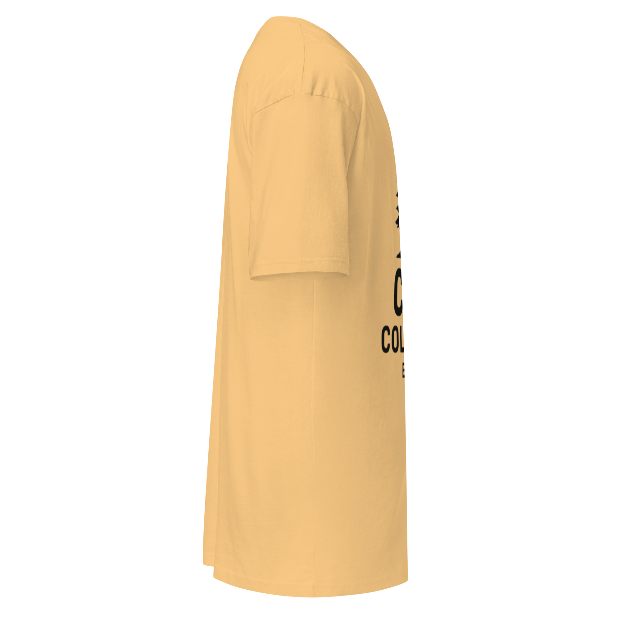 Men’s premium heavyweight tee - Image 15